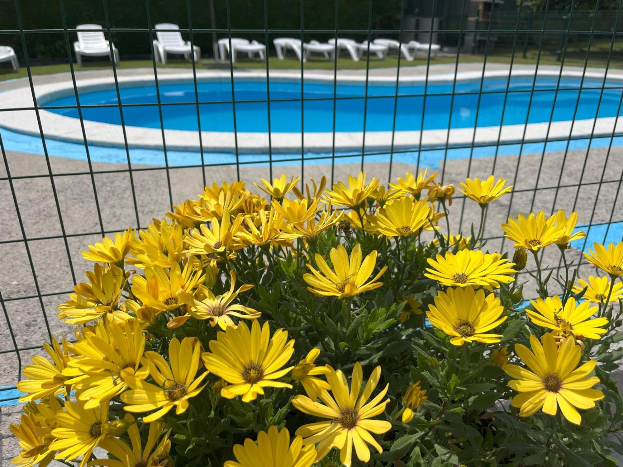Finca Vistalpas Могро Экстерьер фото